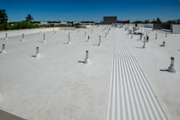 Best Metal Roofing Installation  in Bradner, OH